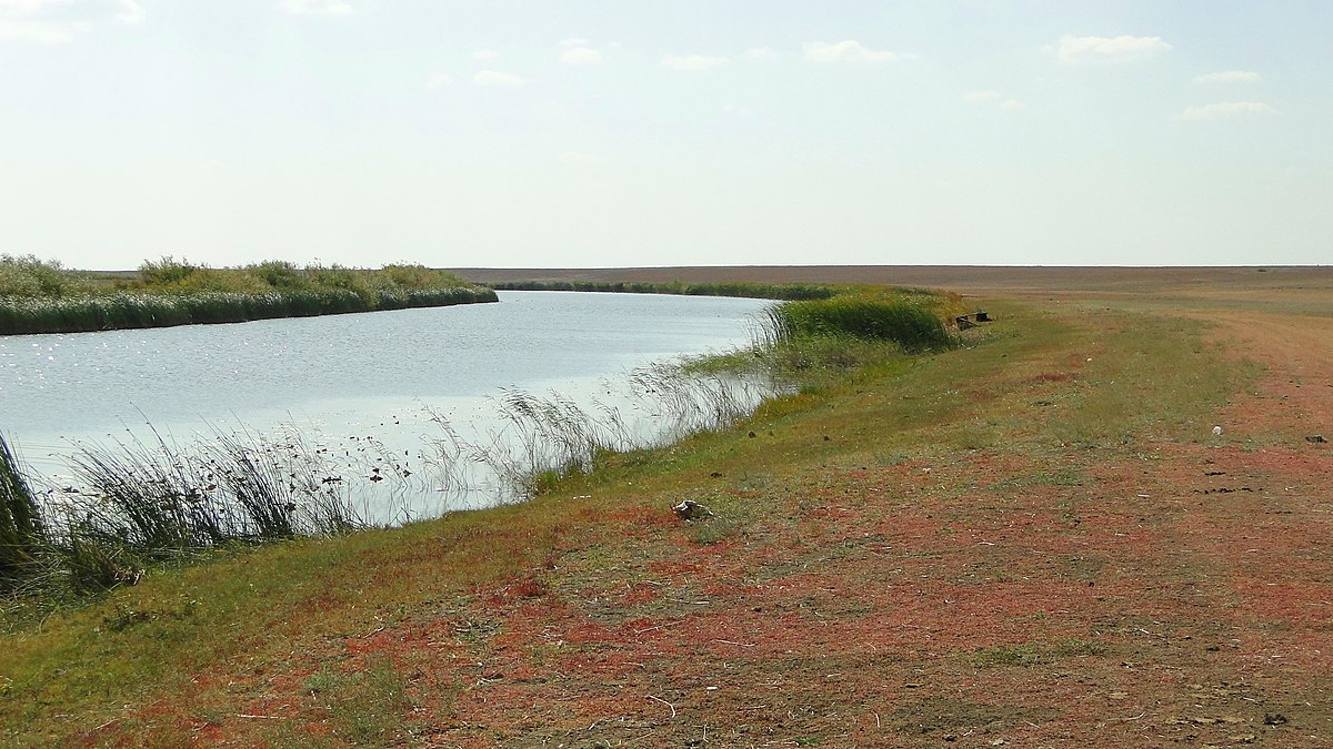 Korgalzhyn Nature Reserve